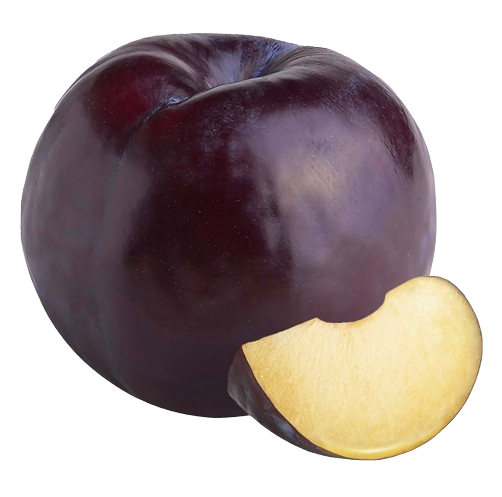 Plum